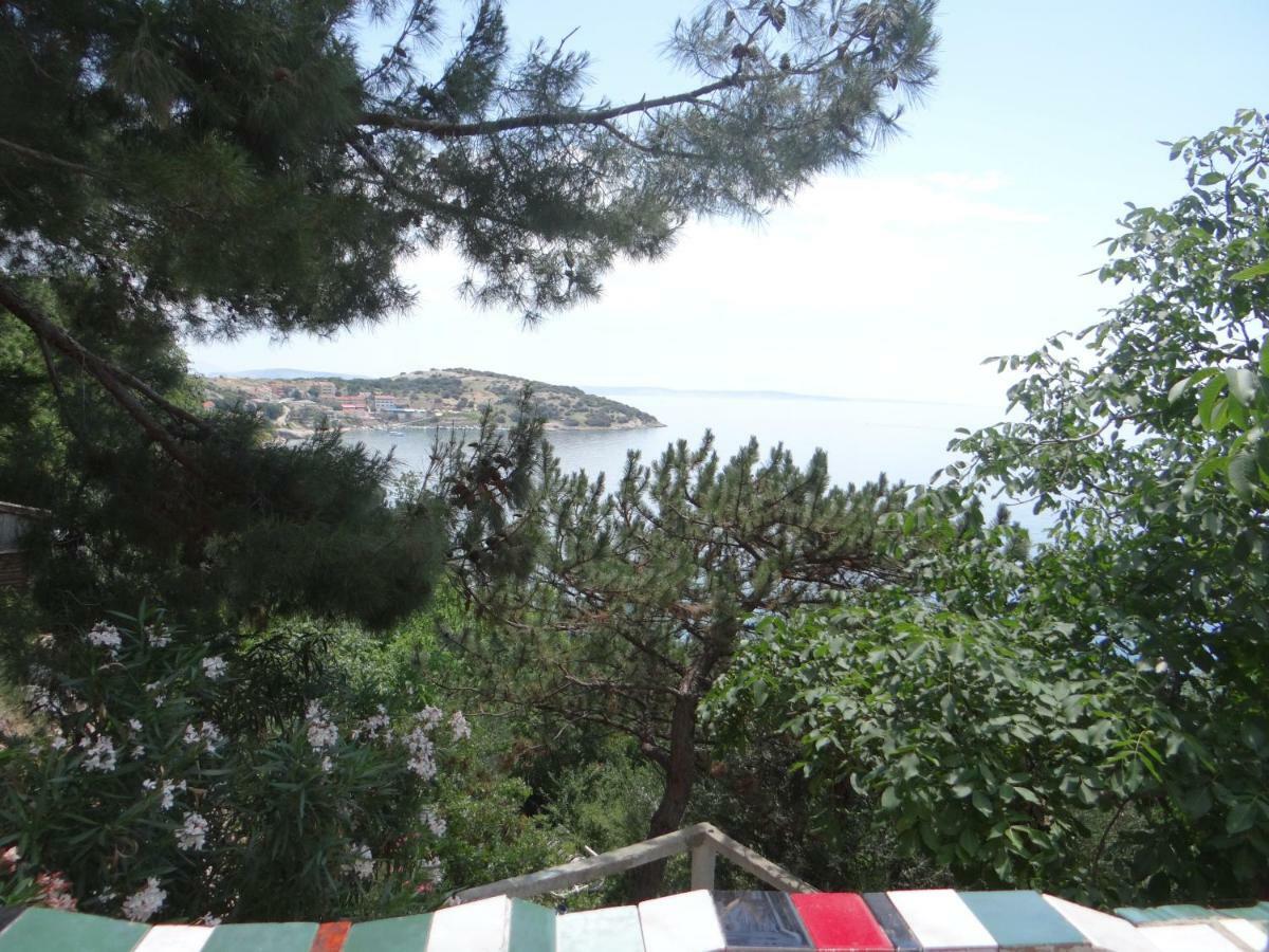 Bassi Appartement *